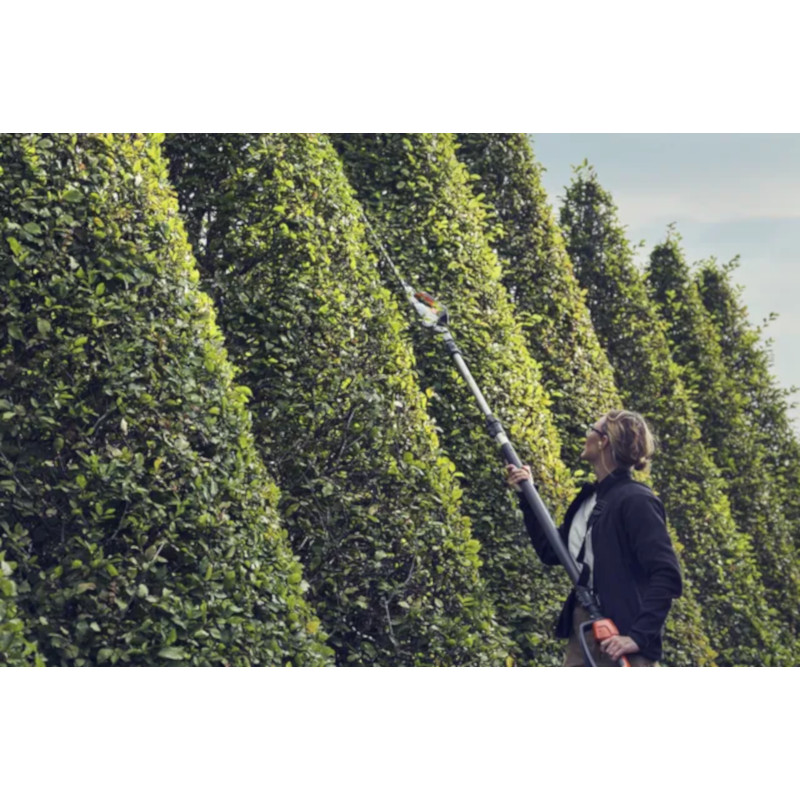 taille haie sur perche en action